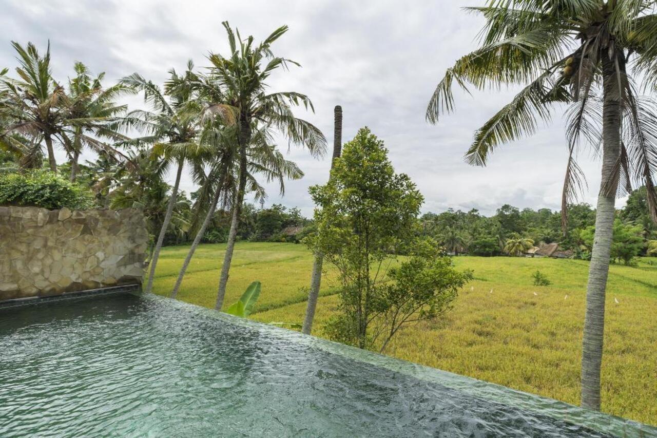 Motama Villa Ubud Zewnętrze zdjęcie