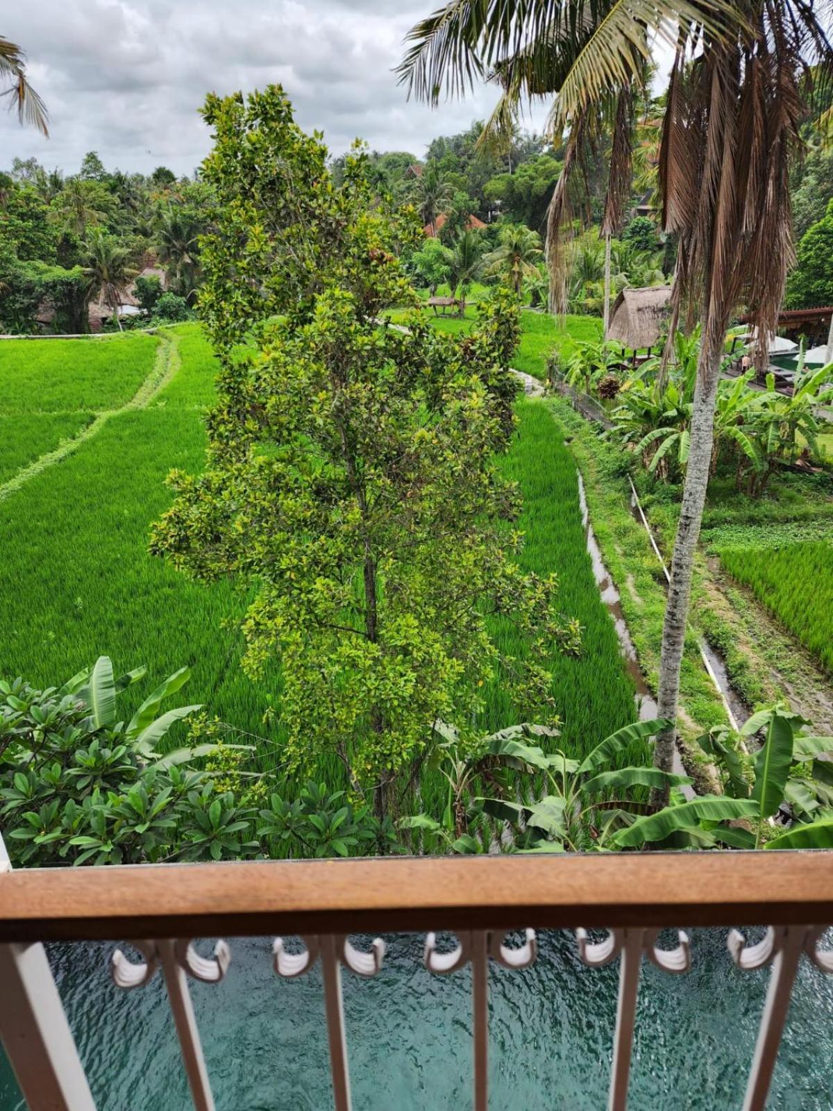 Motama Villa Ubud Zewnętrze zdjęcie