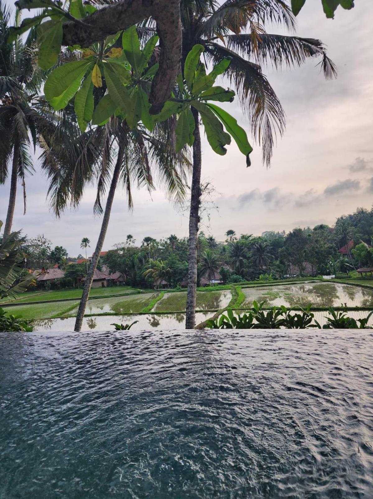 Motama Villa Ubud Zewnętrze zdjęcie