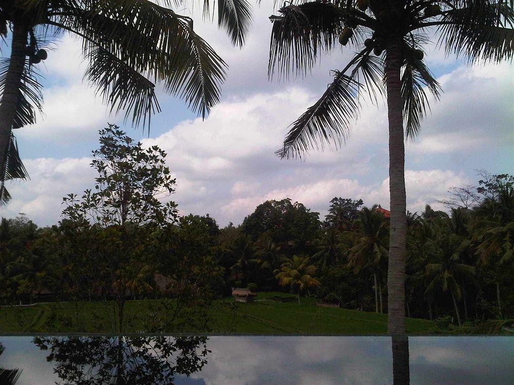 Motama Villa Ubud Zewnętrze zdjęcie