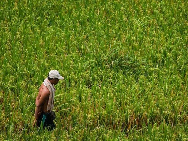 Motama Villa Ubud Zewnętrze zdjęcie