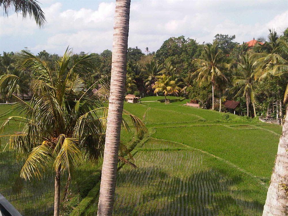 Motama Villa Ubud Zewnętrze zdjęcie